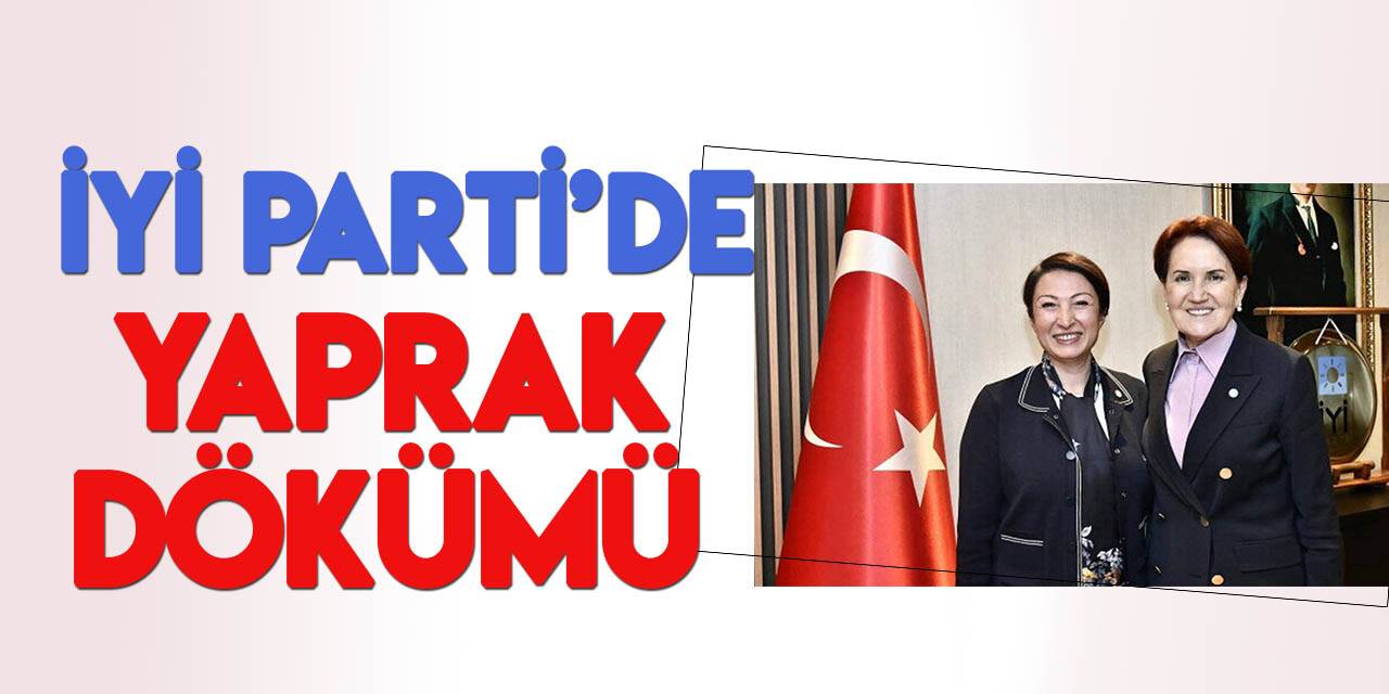 İYİ Parti'de "GİK Üyesi" istifa etti