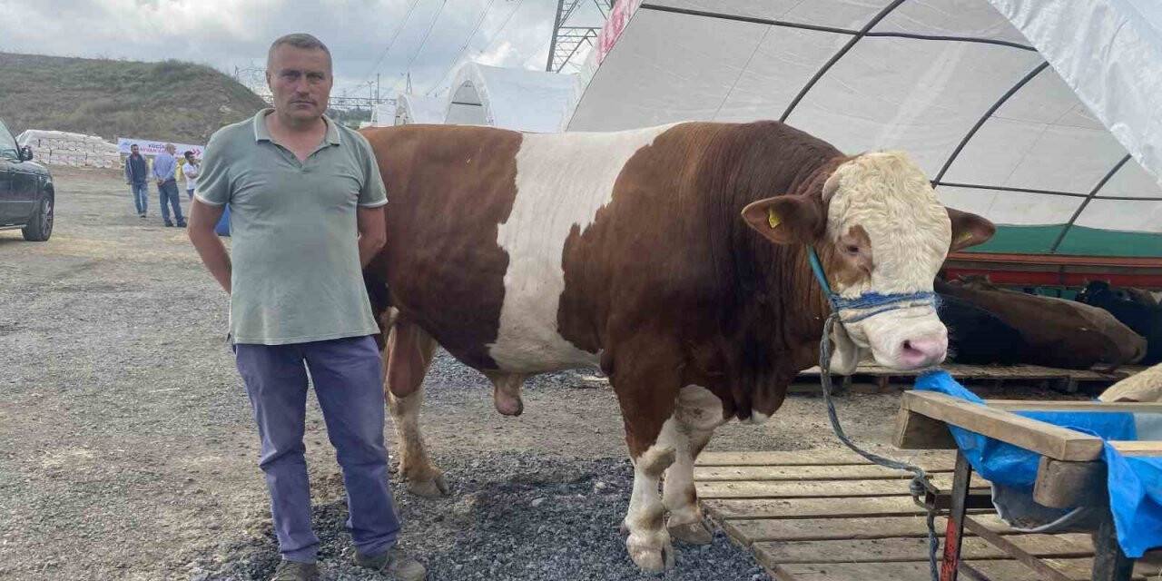 1,2 tonluk “Ilgaz” alıcısını bekliyor