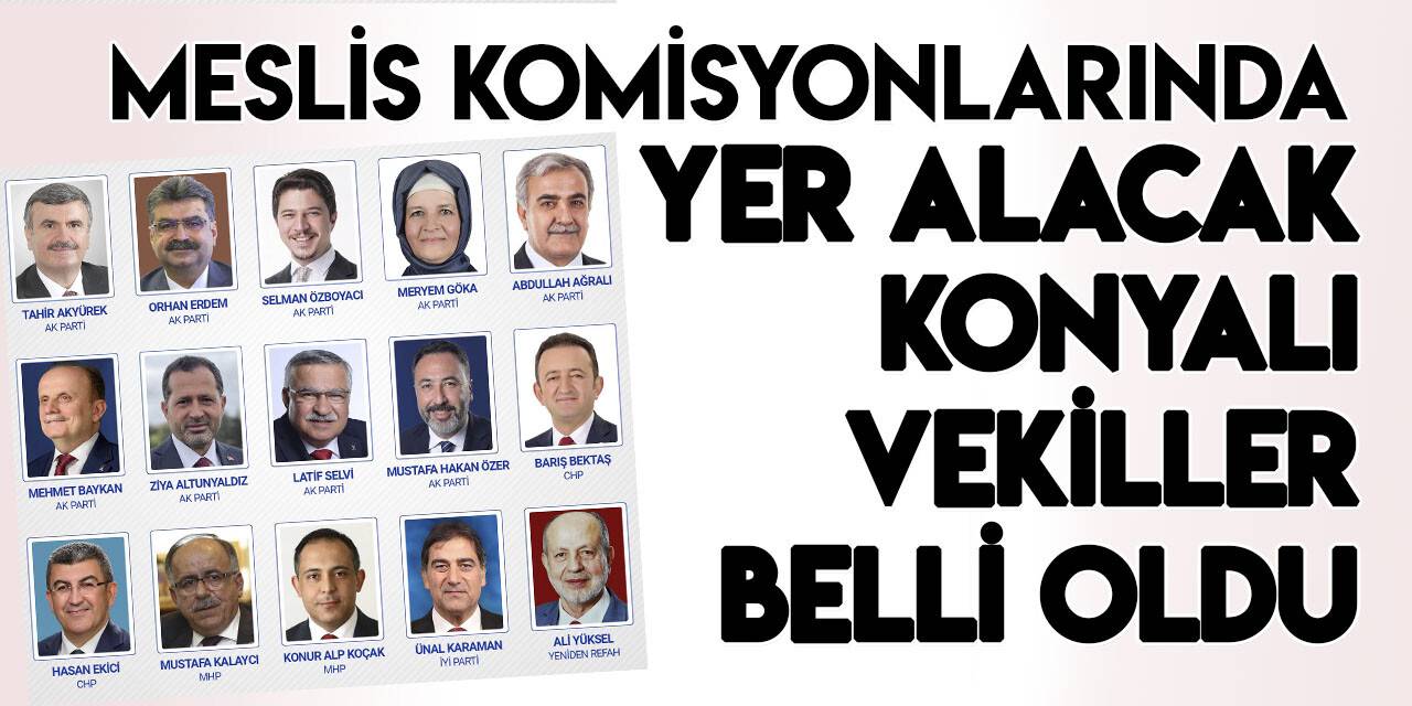 TBMM Komisyon üyeleri belirlendi