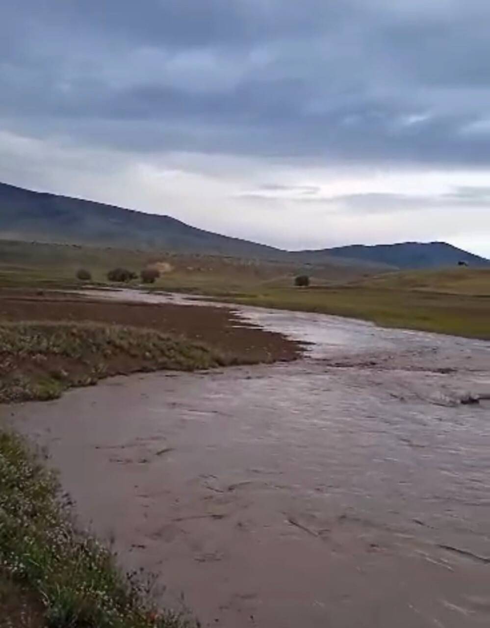 Sağanak sele döndü, mahalleleri su bastı