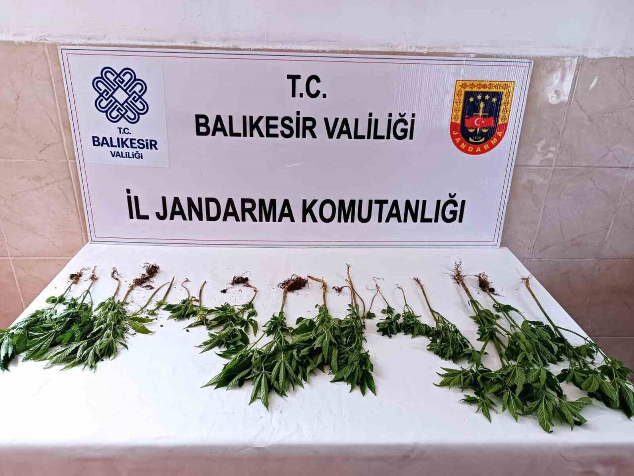 Uyuşturucu operasyonunda iki kişi yakalandı