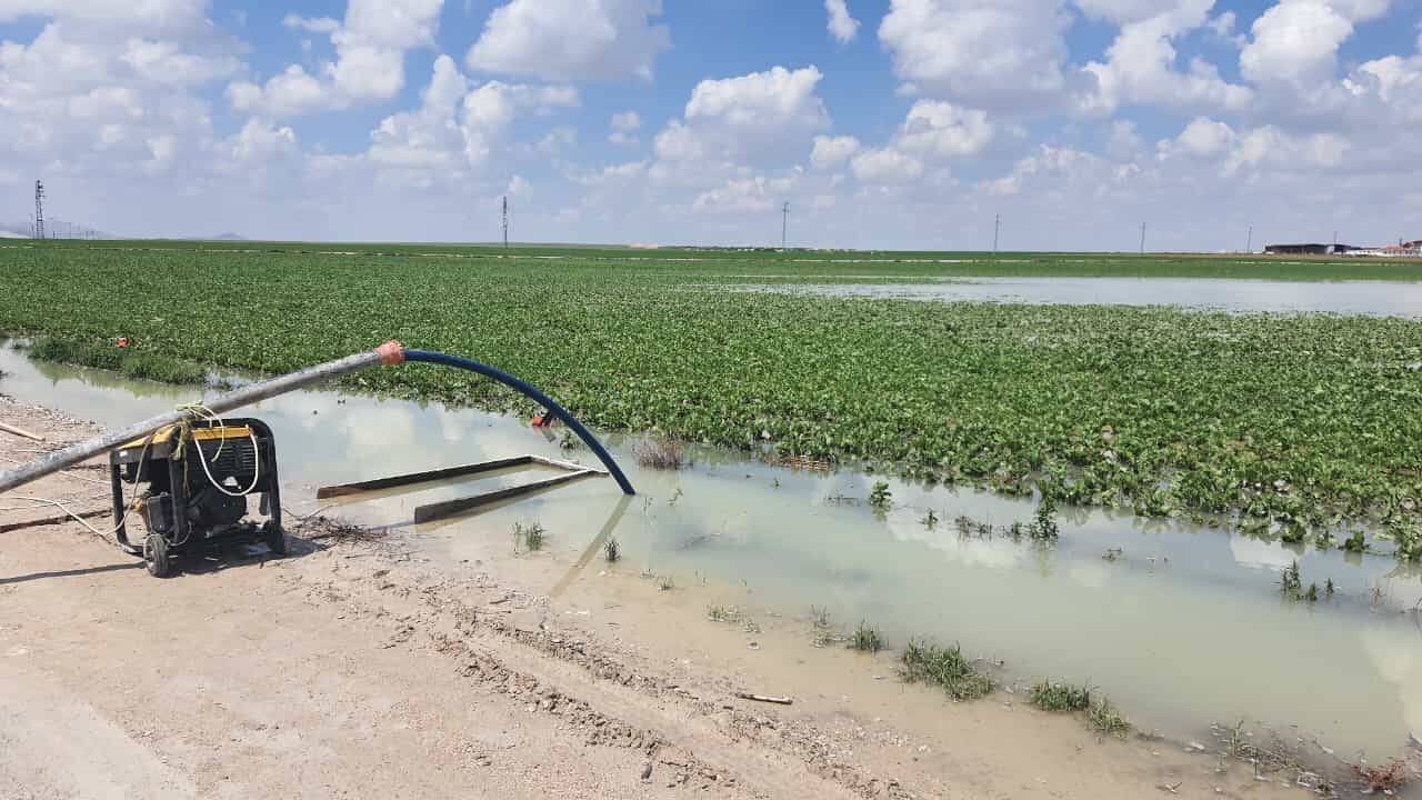 Konya’da suyla dolan tarlalardan su tahliye çalışması yapılıyor