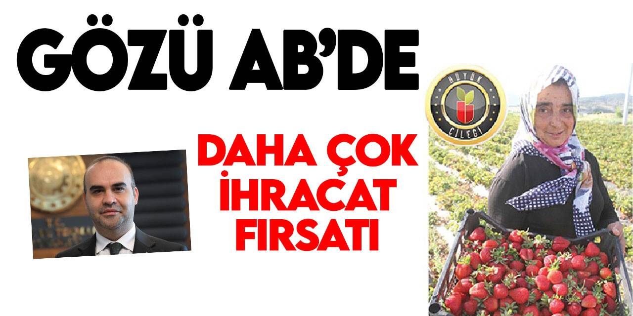 ‘Hüyük çileğinin gözü AB’de