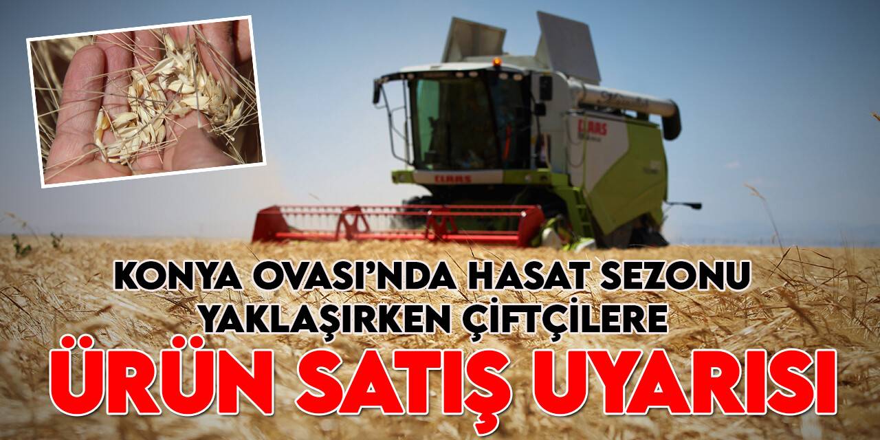 Hasat sezonu yaklaşırken uzmanından Konyalı çiftçilere ürün satış uyarısı!
