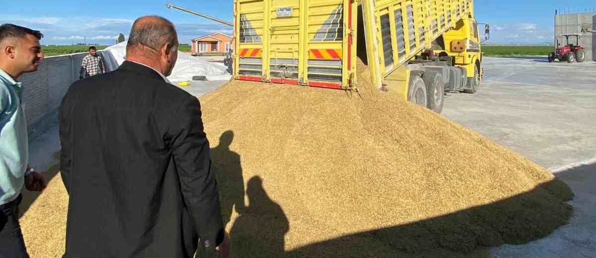 Karapınar’da arpa hasadına başlandı