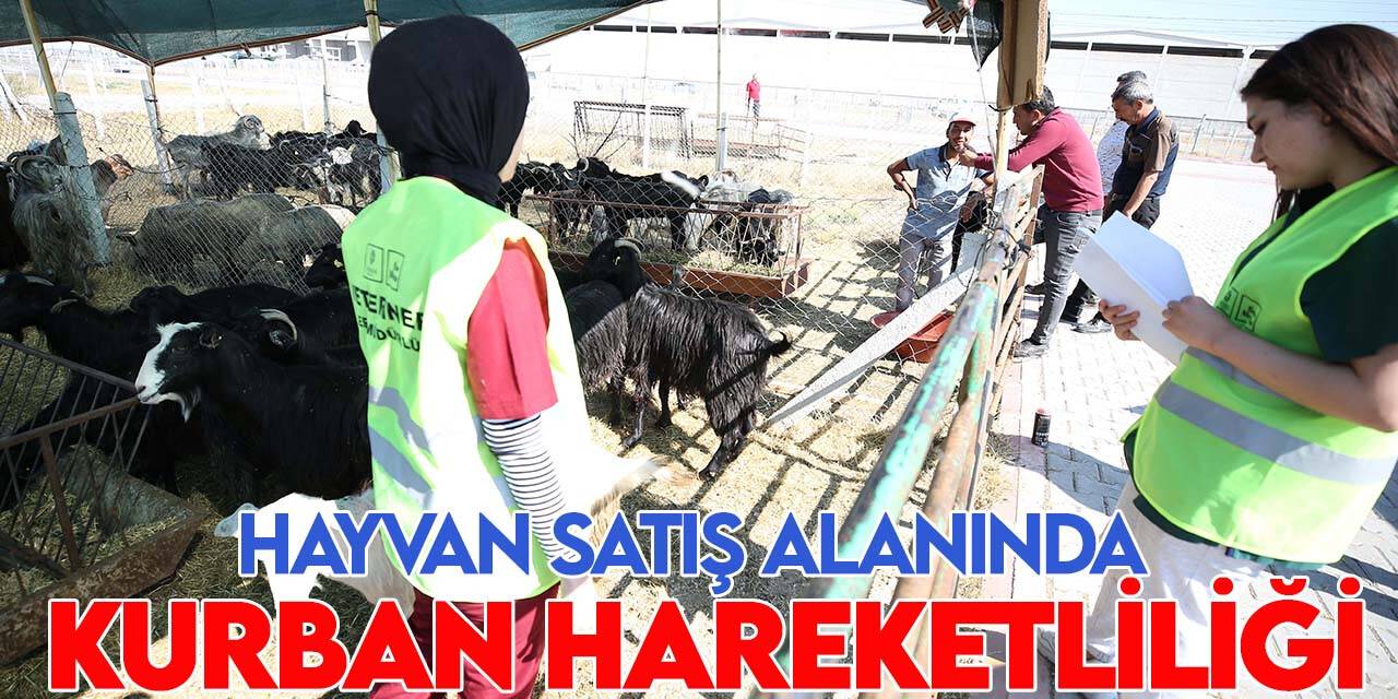 Meram’daki hayvan satış alanında kurban hareketliliği
