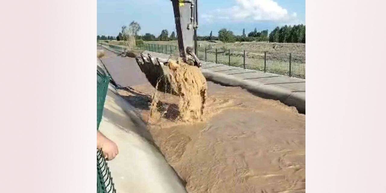 Operatör su kanalına düşen boğayı kepçeyle kurtardı
