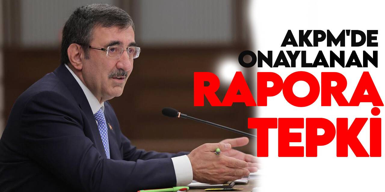 Cumhurbaşkanı Yardımcısı Yılmaz'dan AKPM'de onaylanan rapora tepki