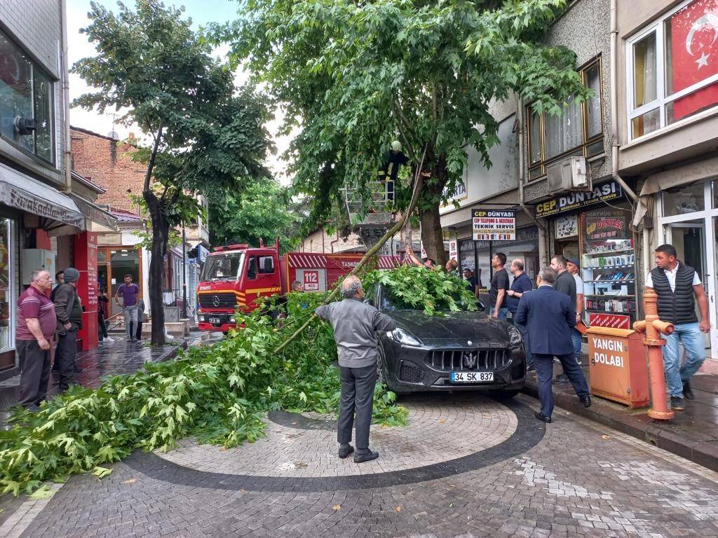 Kırılan ağaç dalı otomobilin üzerine düştü