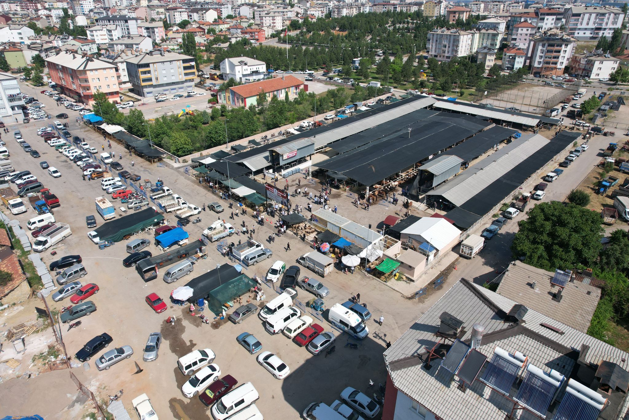 Seydişehir'de canlı hayvan pazarı açıldı