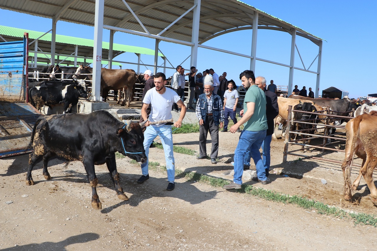 Beyşehir'de zabıta ekipleri kurban pazarını denetledi
