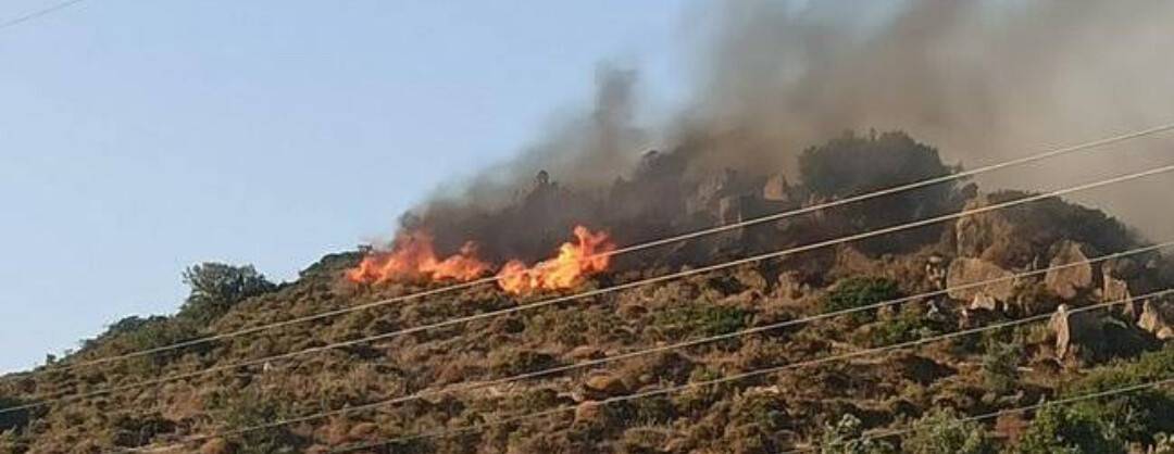 Datça’daki orman yangınında 25 hektarlık alan zarar gördü