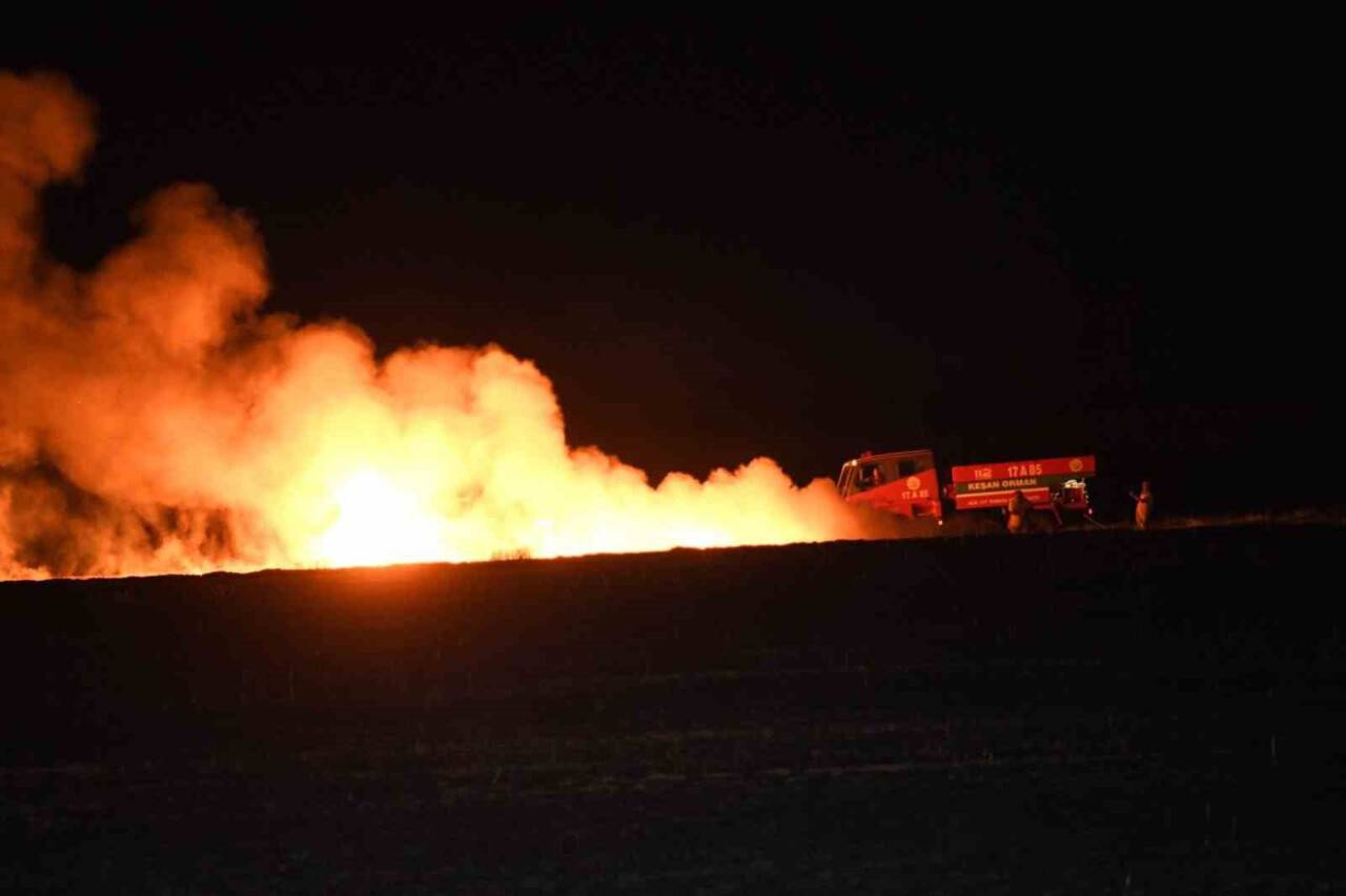 100 dönüm alanda ekili buğday kül oldu