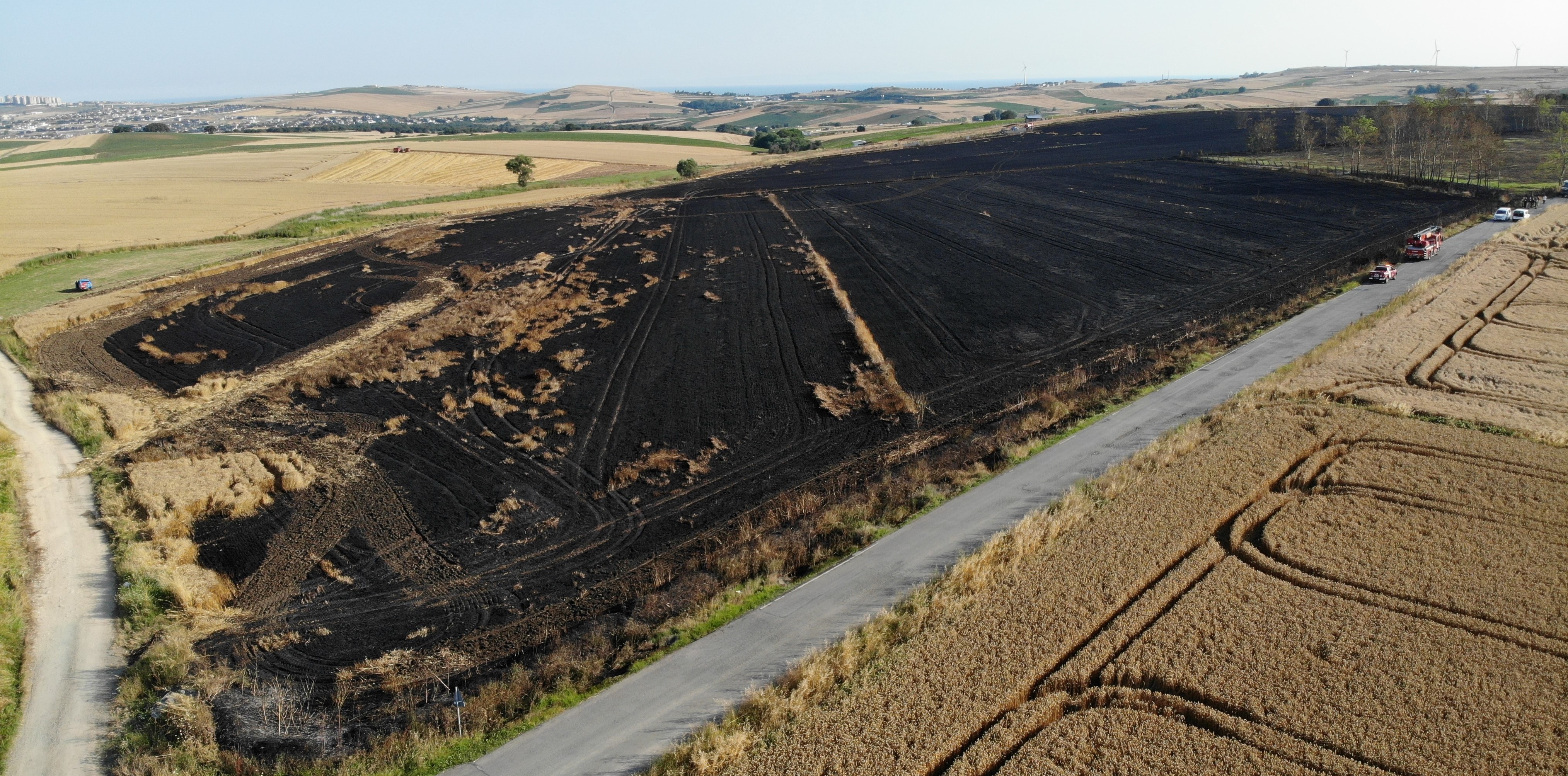 Çatalca’da 200 dönümlük buğday tarlası alev alev yandı