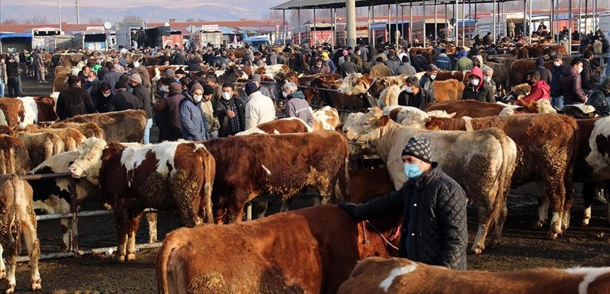 Yozgat'ta şap hastalığı nedeniyle canlı hayvan pazarları kapatıldı