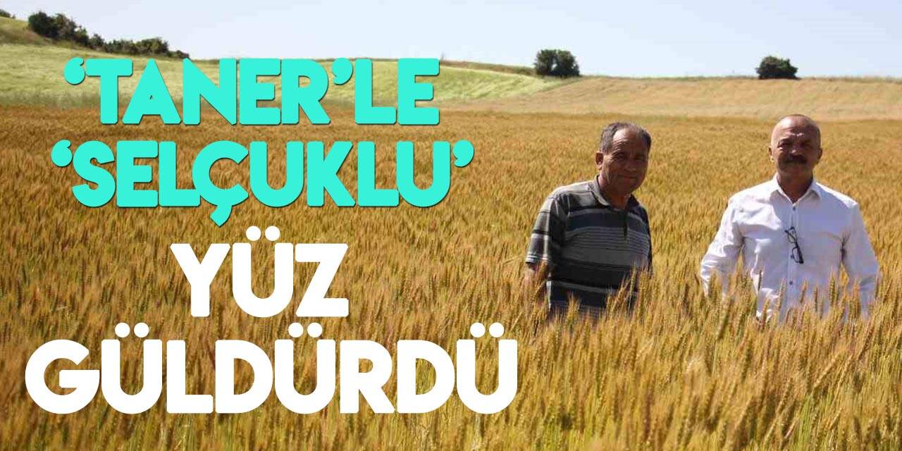 Bahri Dağdaş tarafından geliştirilen yerli buğdaylar yüzleri güldürdü