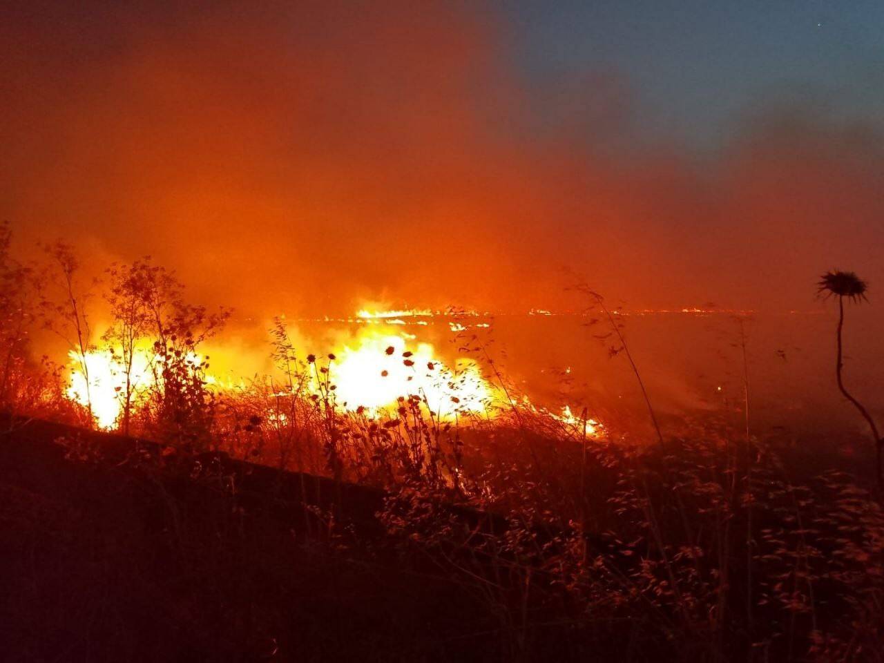 60 dönüm yer kül oldu