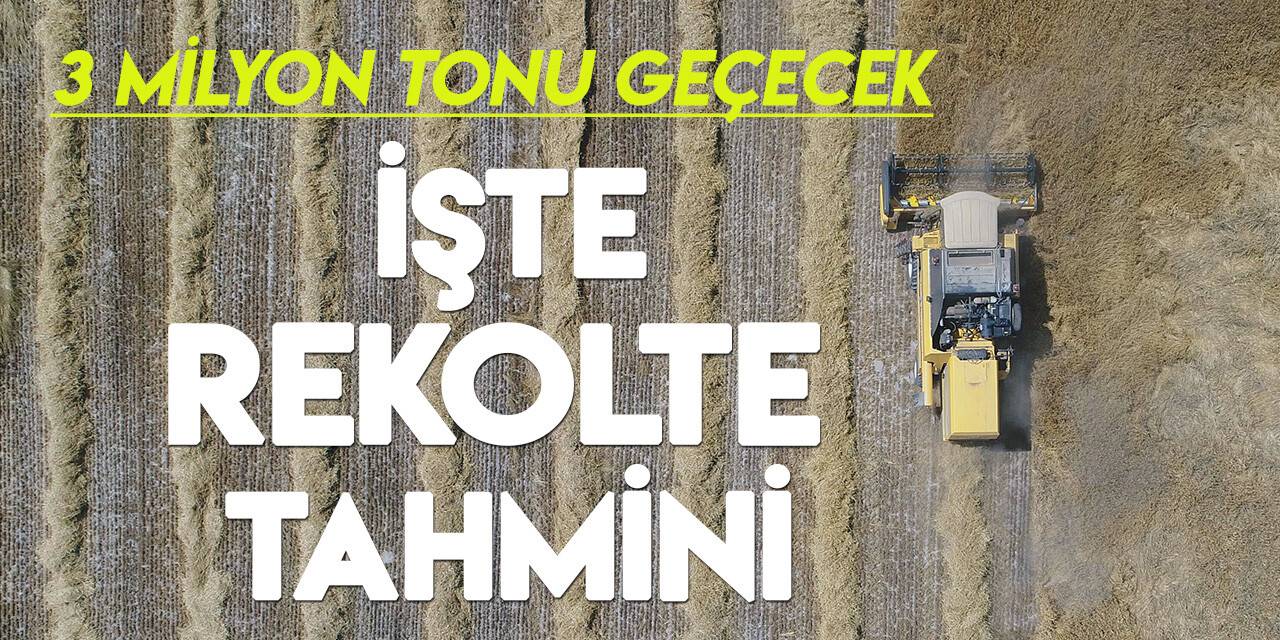 Konya Ovası'nda yüksek rekolte bekleniyor