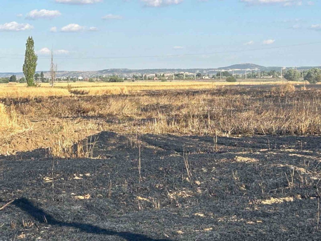 Elektrik akımına kapılan kuşun sebep olduğu yangında araziler zarar gördü