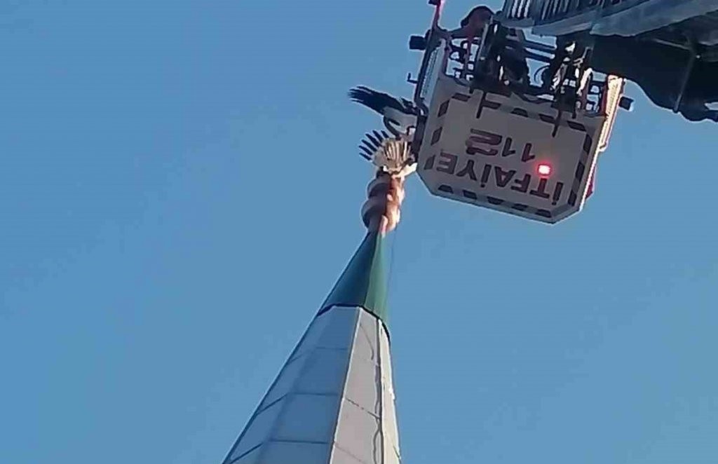 Cami minaresine takılan leylek kurtardı