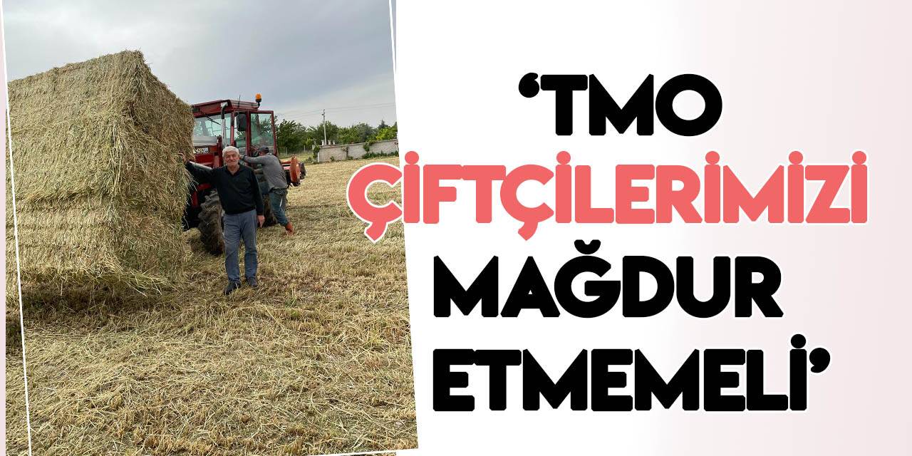 TZOB Yönetim Kurulu Üyesi Hepokur: "TMO hububat alımlarında çiftçilerimizi mağdur etmemelidir"