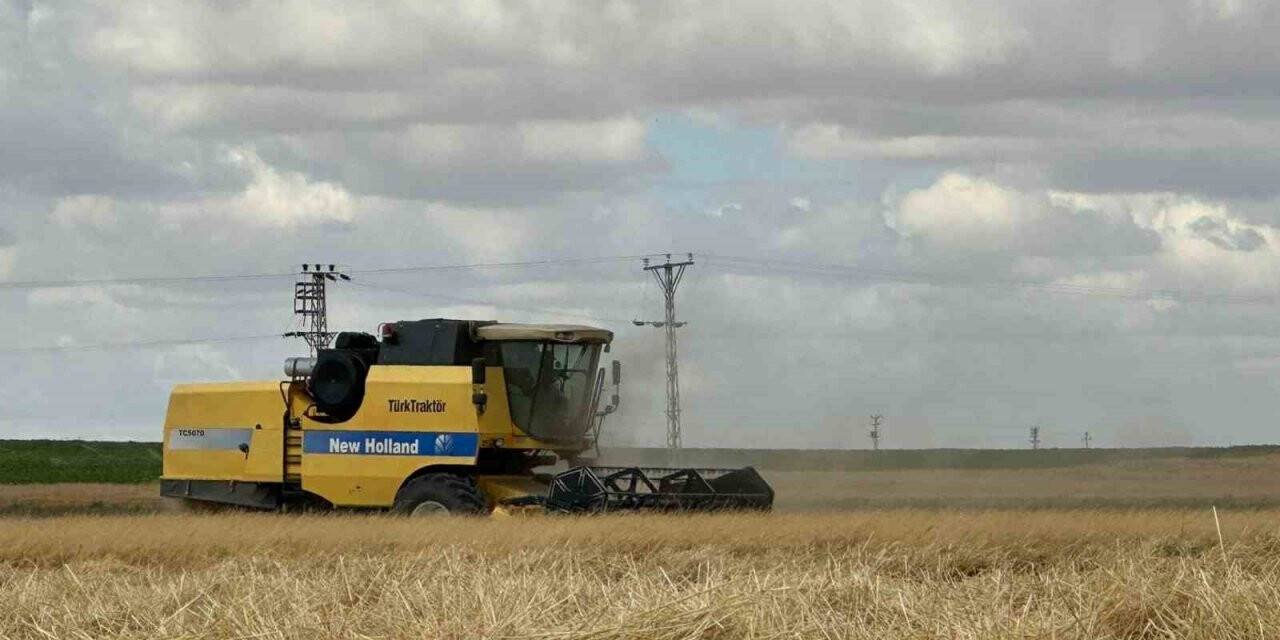 Karapınar’da biçerdöver hasat ücretleri belirlendi