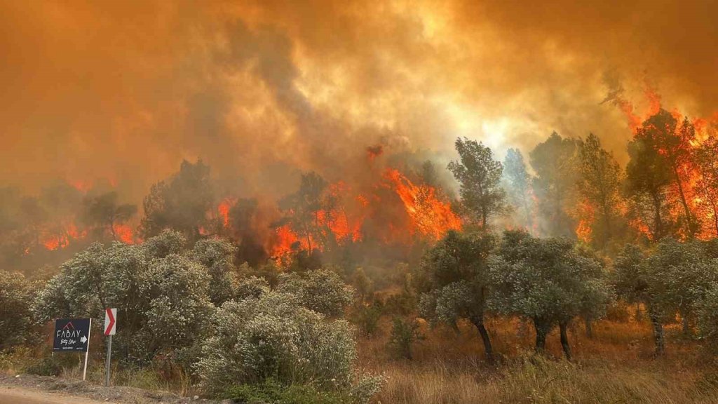 Milas’ta orman yangını, alevler büyümeye devam ediyor