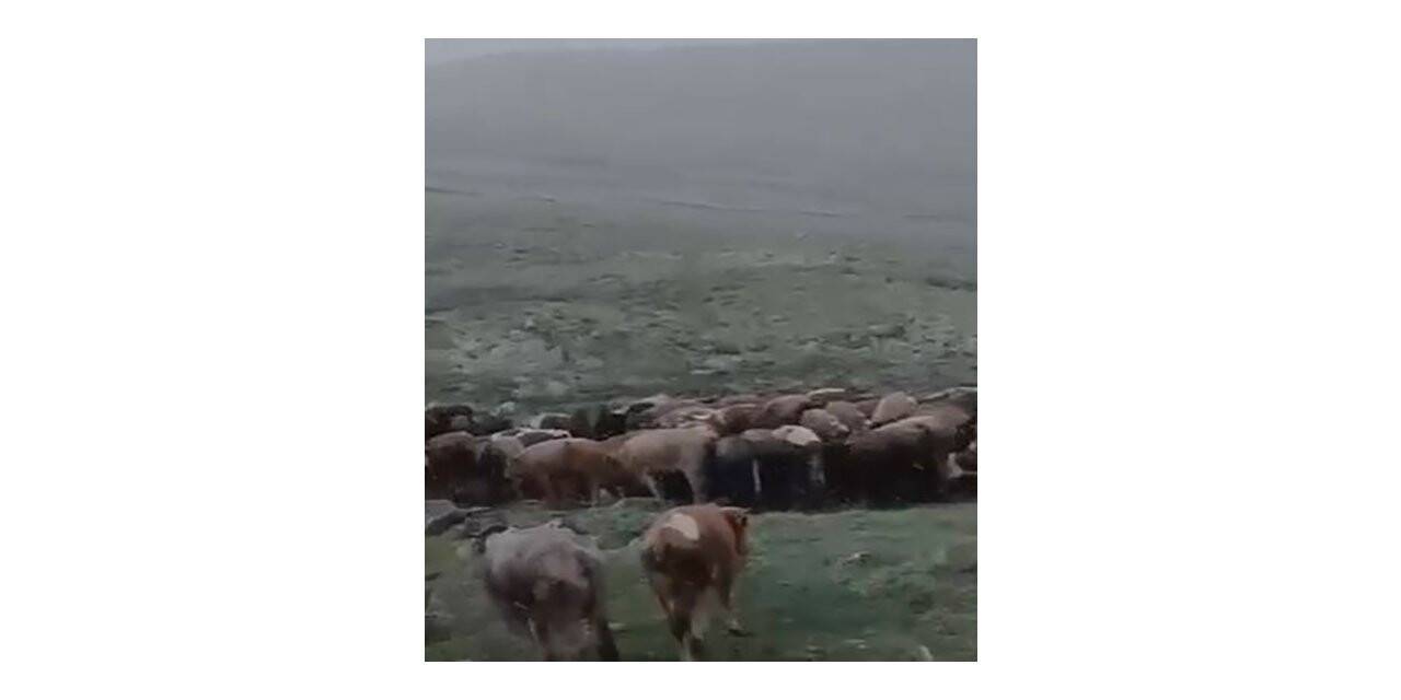 Temmuz ayında kar yağdı
