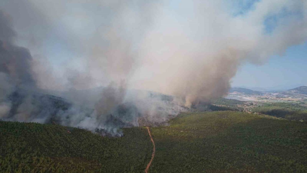 Milas’taki orman yangını havadan görüntülendi