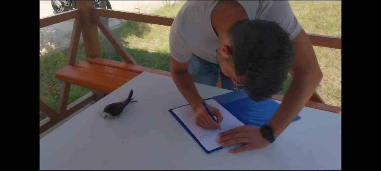 Bitkin düşen ebabil kuşu tedavi altına alındı