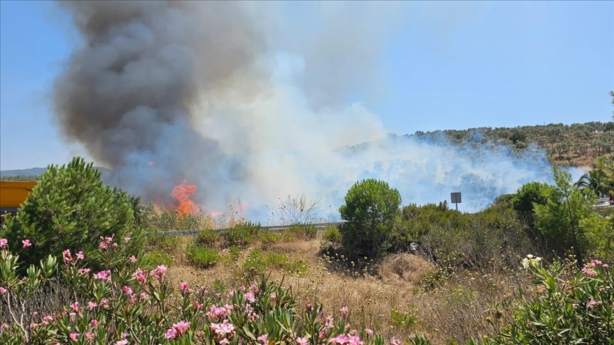 Milas-Bodrum Havalimanı yolunda ormanlık alanda yangın