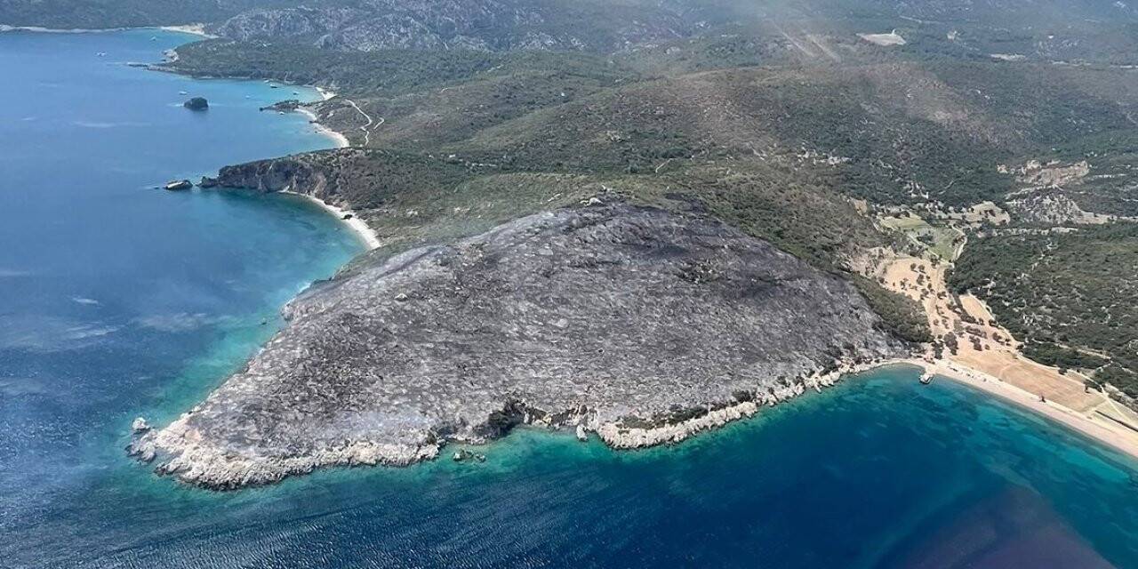 İzmir’de makilik alan yangınında 2 gözaltı
