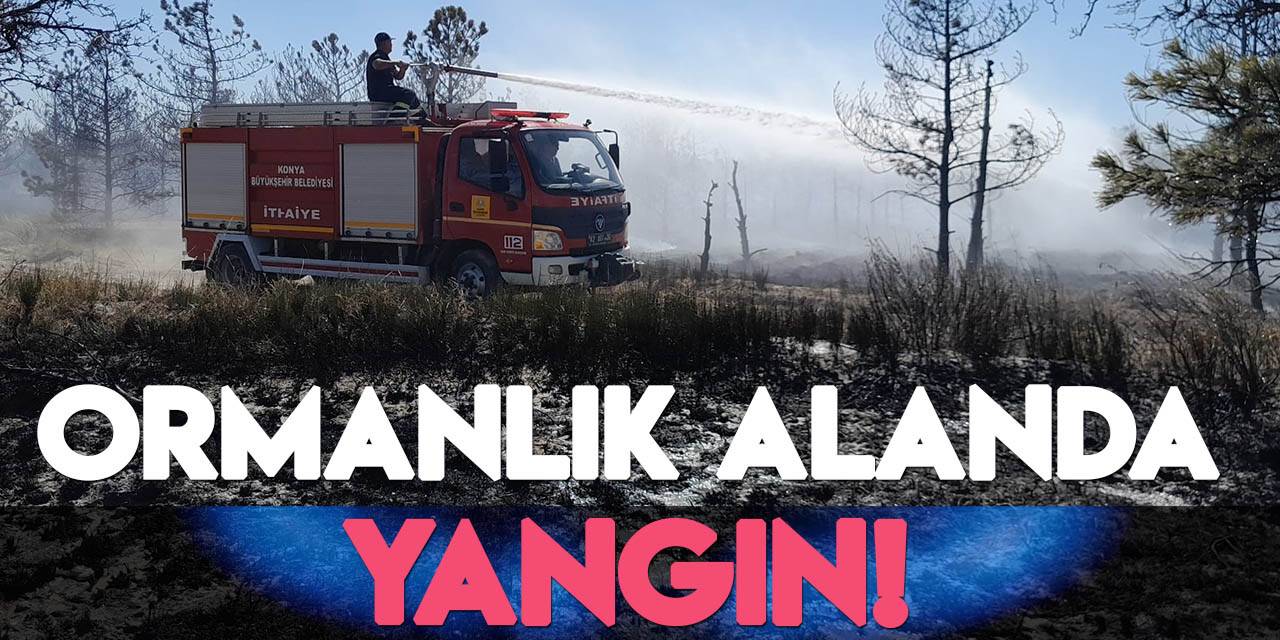Konya’da ormanlık alanda yangın çıktı