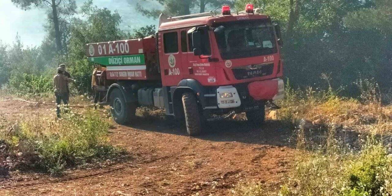 Osmaniye’de anız yangını ormana sıçradı