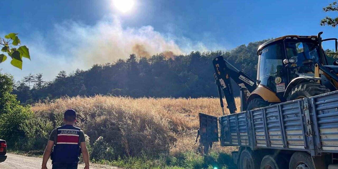 Bolu’da orman yangını kontrol altına alındı
