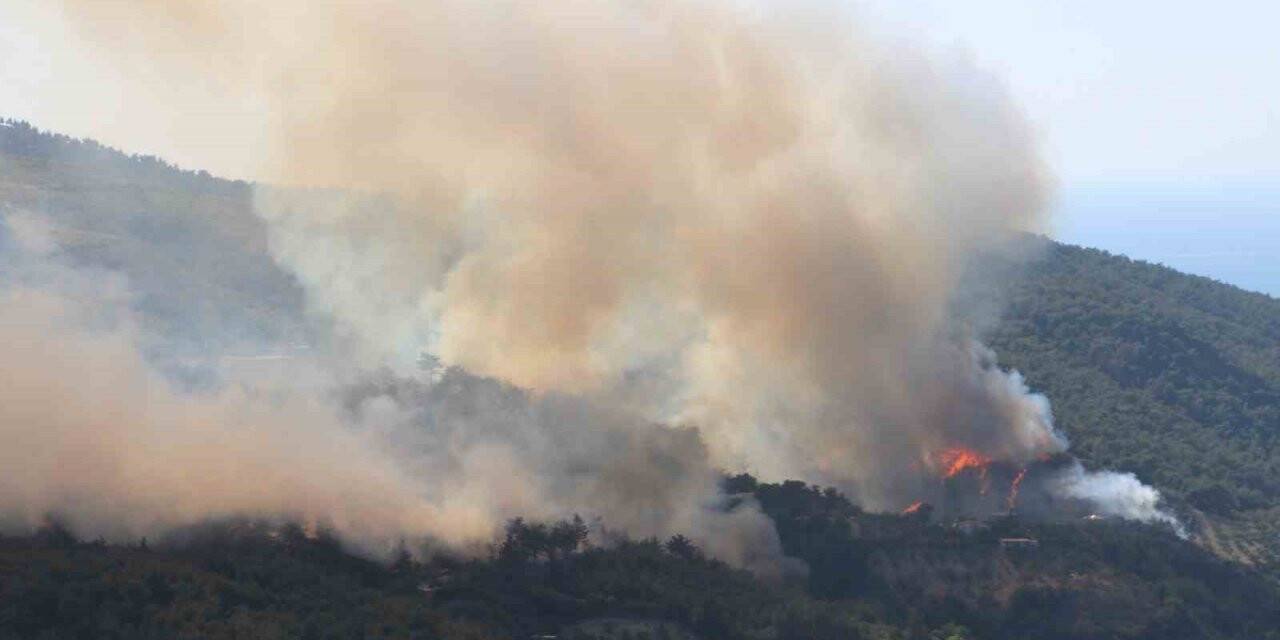 Hatay’daki orman yangınına müdahale sürüyor