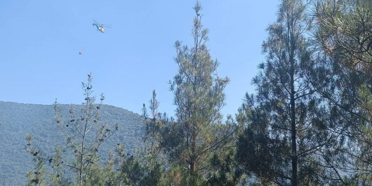 Hasanbeyli’de orman yangını kontrol altına alındı