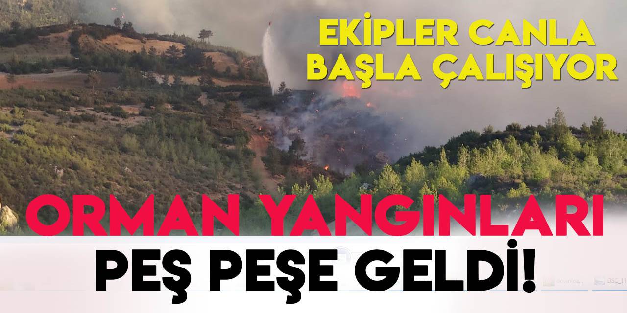 Türkiye'nin dört bir yanından orman yangını haberleri geldi