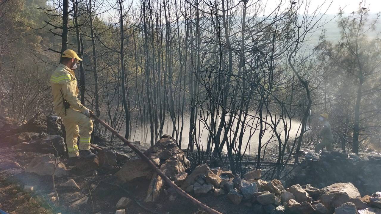 Osmaniye’de orman yangını kontrol altına alındı