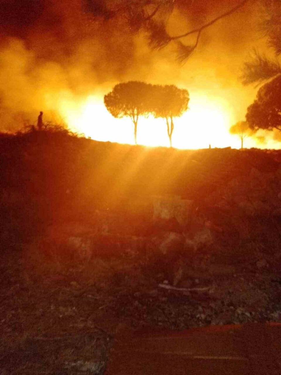 Ayvalık’ta otluk alanda çıkan yangın kontrol altına alındı