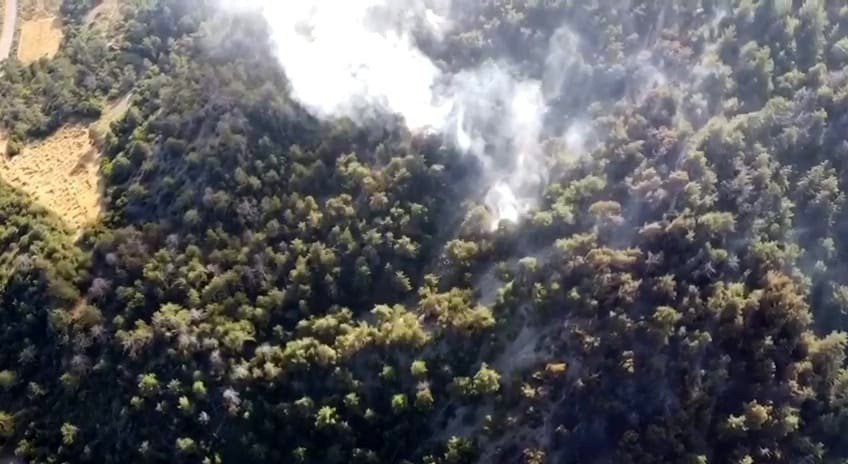 Çıkan orman yangınında 5 hektarlık alan küle döndü
