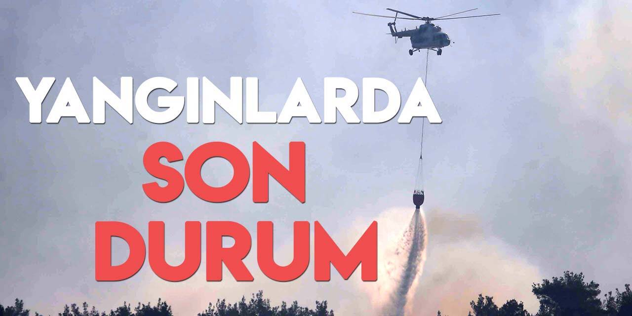 Türkiye genelindeki orman yangınlarında son durum