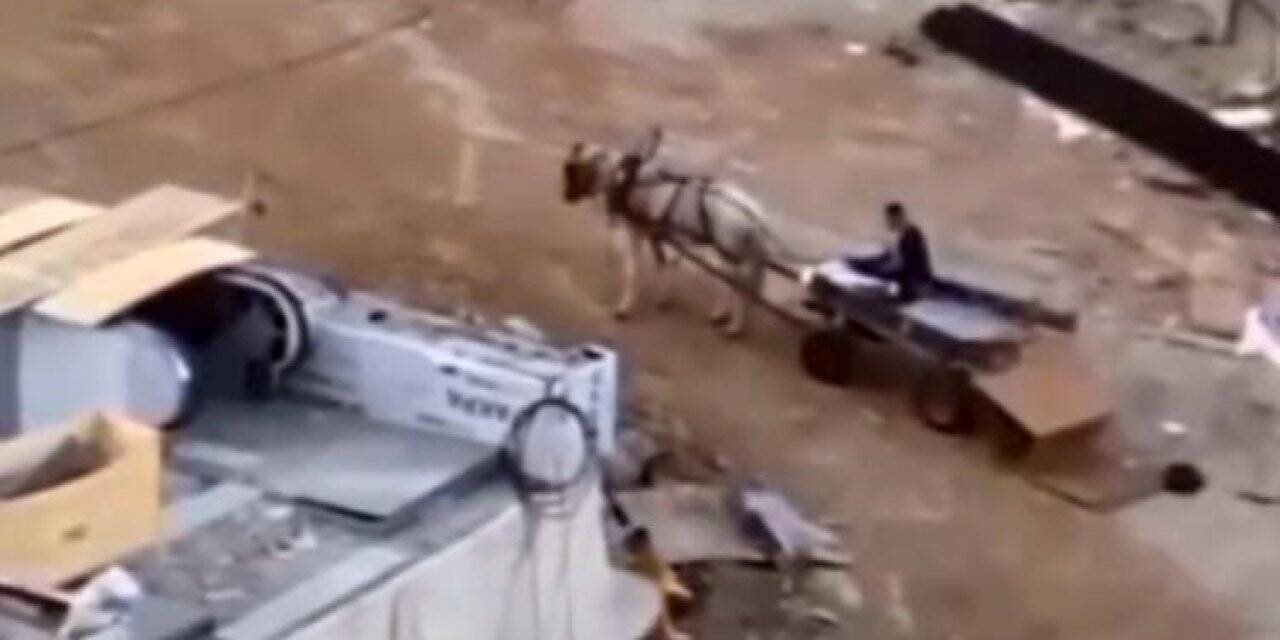 Başakşehir’de at arabası ile metro inşaatından hırsızlık