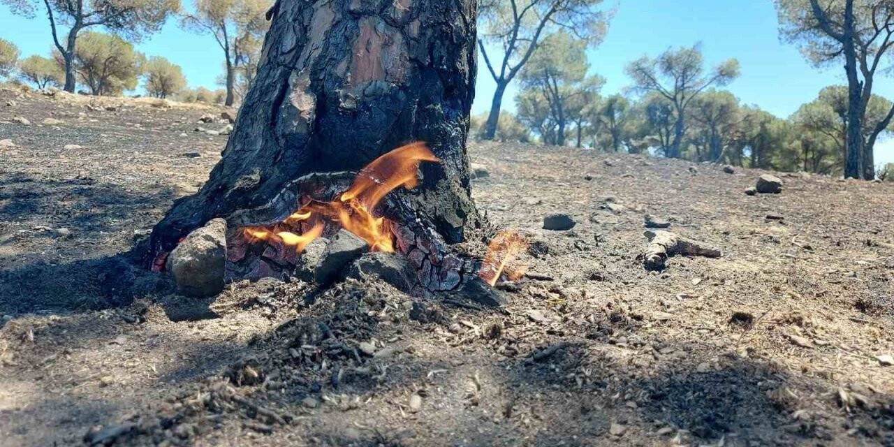 Söndürüldükçe alevleniyor
