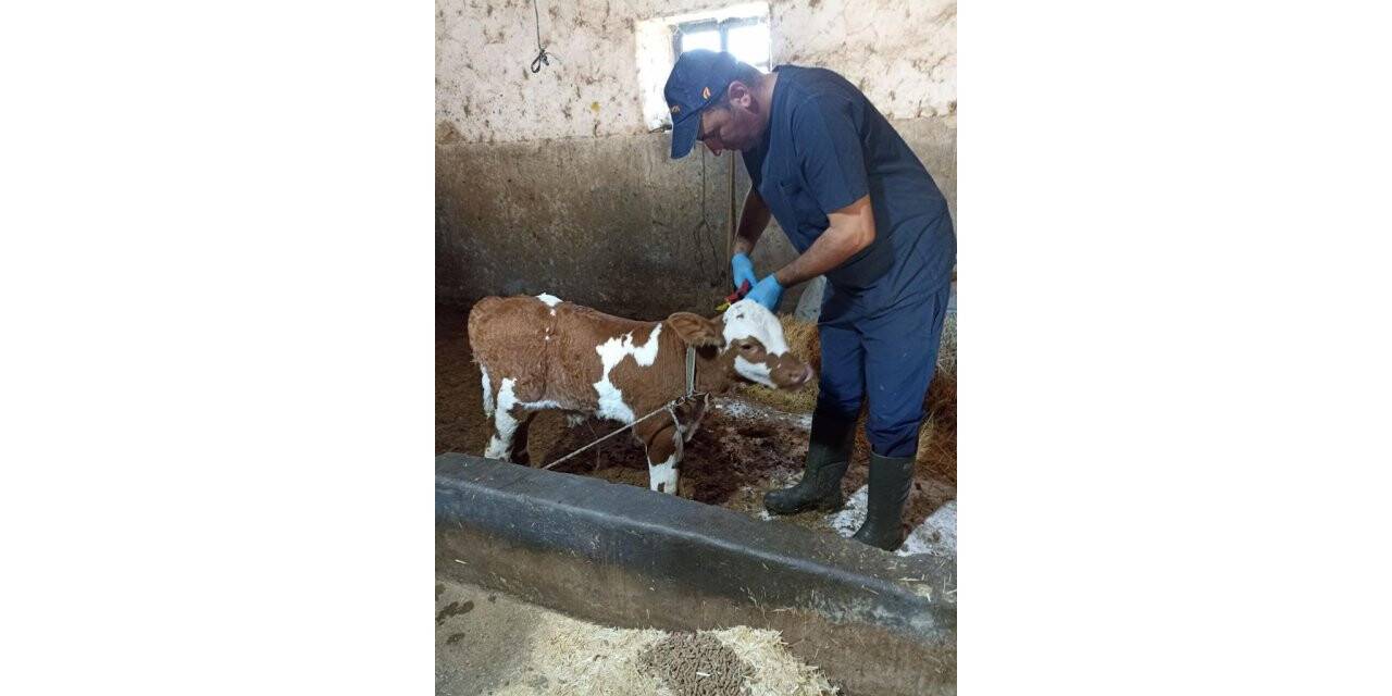 Beyşehir’de karantinaya alınan mahallelerde aşılama tamamlandı