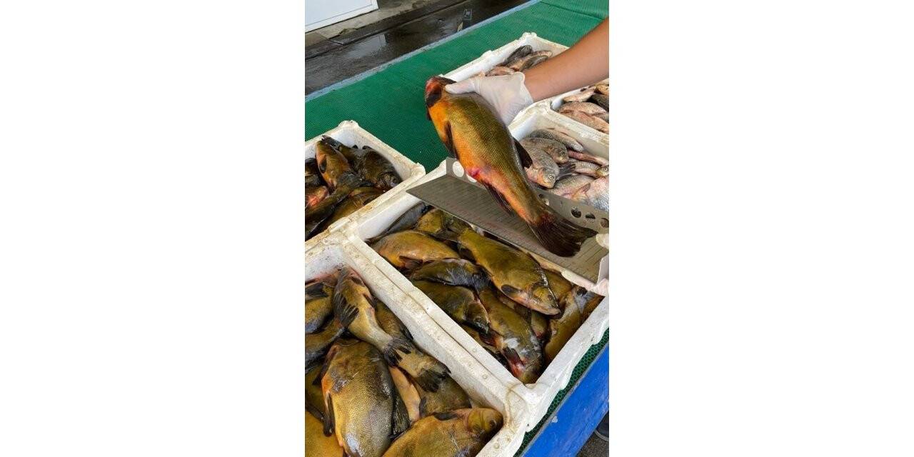 Konya'da yasa dışı avcılık denetleniyor