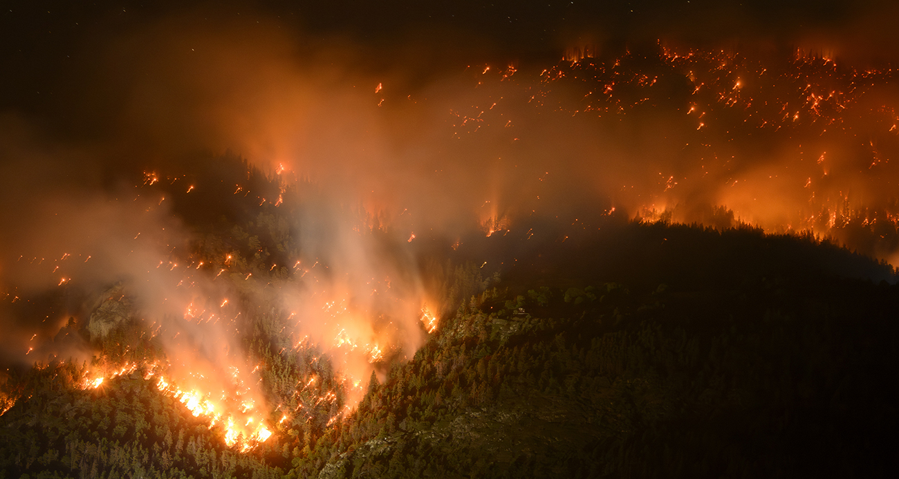 İsviçre'de devam eden orman yangınını söndürme çalışmaları sürüyor