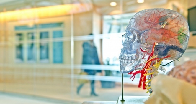Beyin sağlığını korumak için 7 altın kural