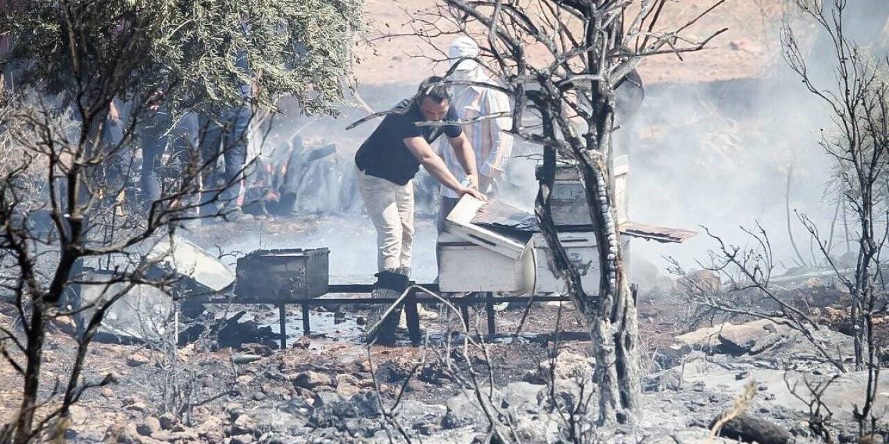 Antalya’daki yangında  telef oldu