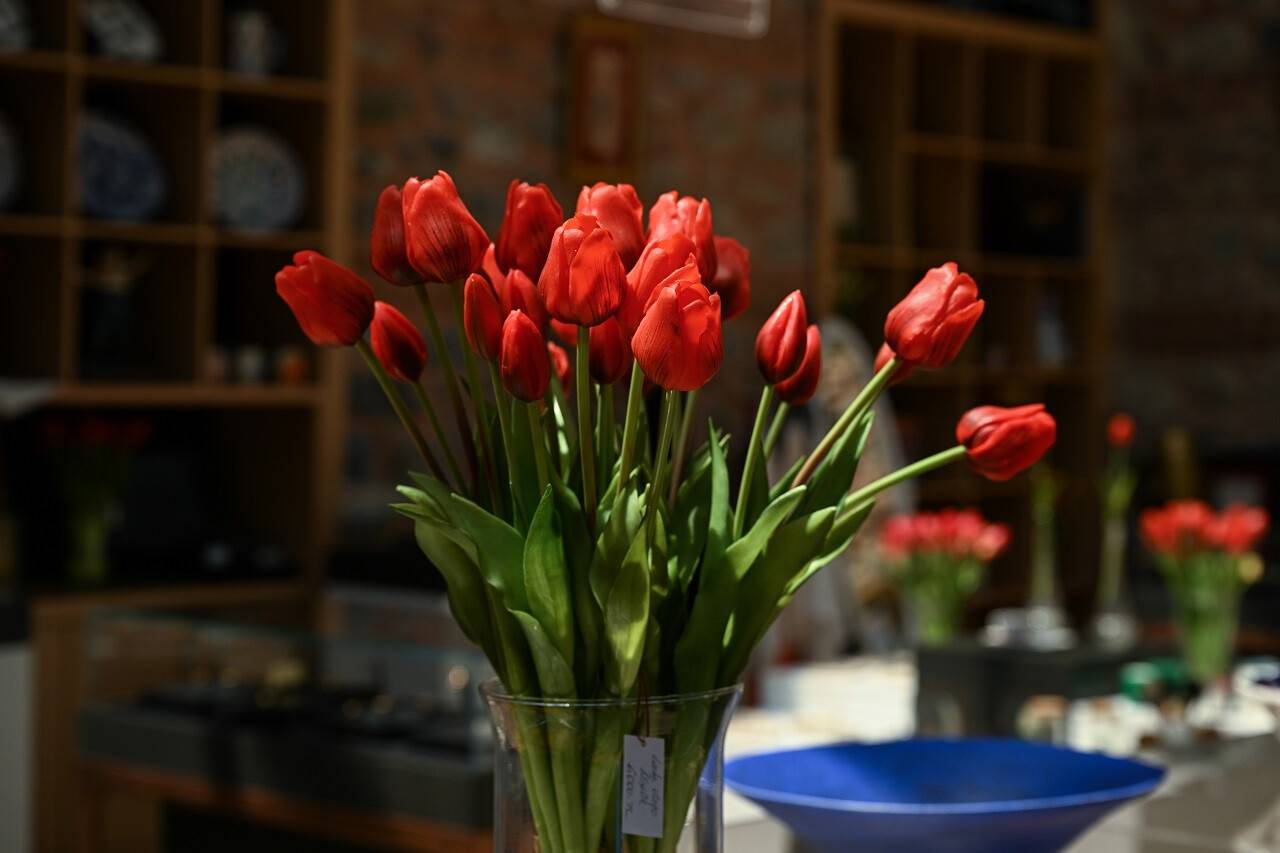 İstanbul lalesi yeniden üretilecek